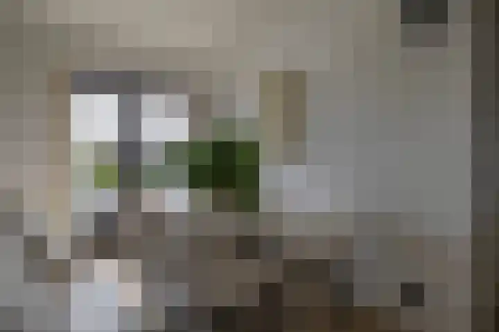 2e Octaviolaan 18 Capelle aan den IJssel thumbnail 18