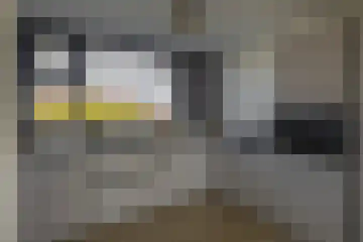 2e Octaviolaan 18 Capelle aan den IJssel thumbnail 19