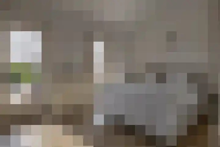 2e Octaviolaan 18 Capelle aan den IJssel thumbnail 23