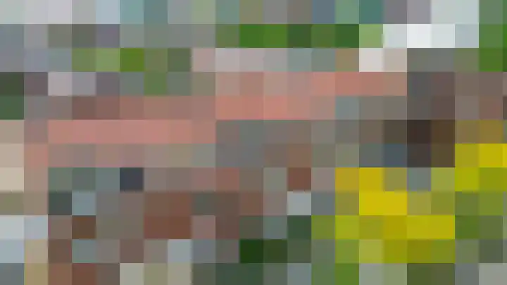 2e Octaviolaan 18 Capelle aan den IJssel thumbnail 35