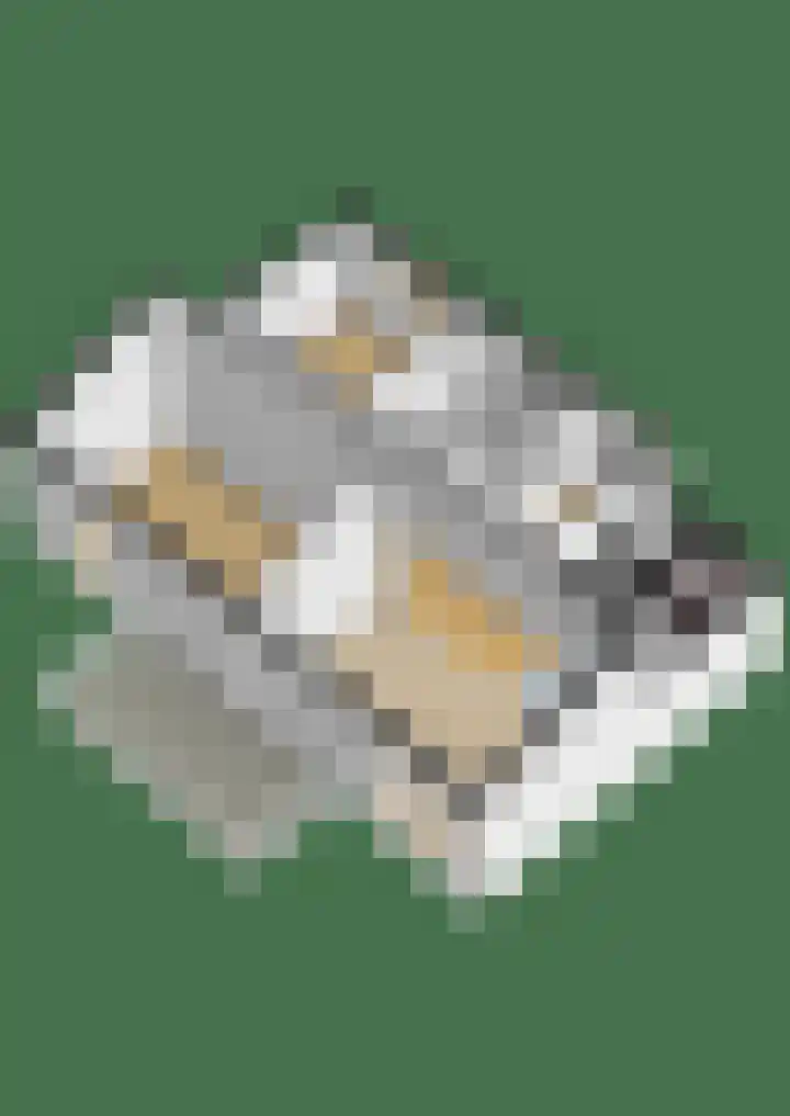 2e Octaviolaan 18 Capelle aan den IJssel thumbnail 43