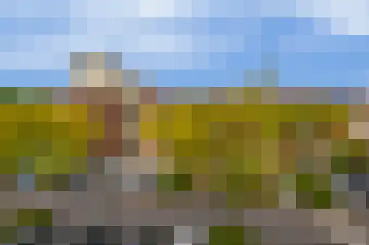 2e Octaviolaan 18 Capelle aan den IJssel thumbnail 46