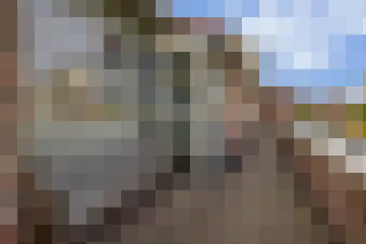 2e Octaviolaan 18 Capelle aan den IJssel thumbnail 7