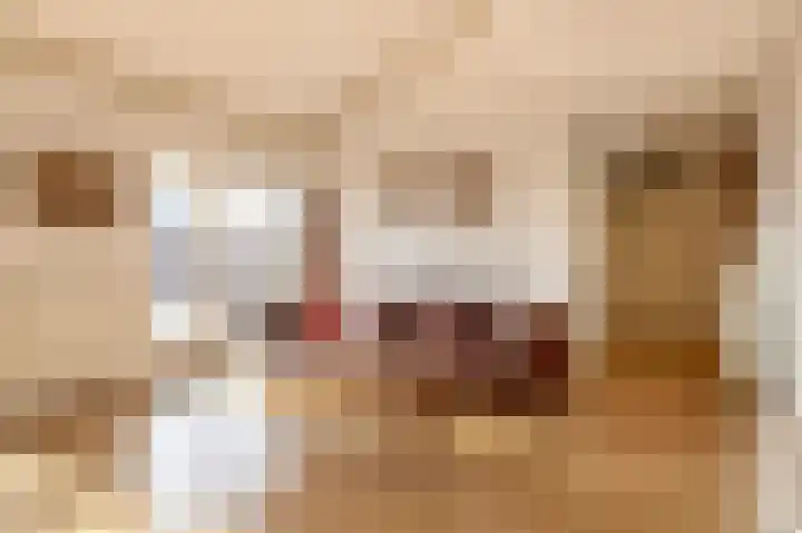 2e Octaviolaan 20 Capelle aan den IJssel thumbnail 13