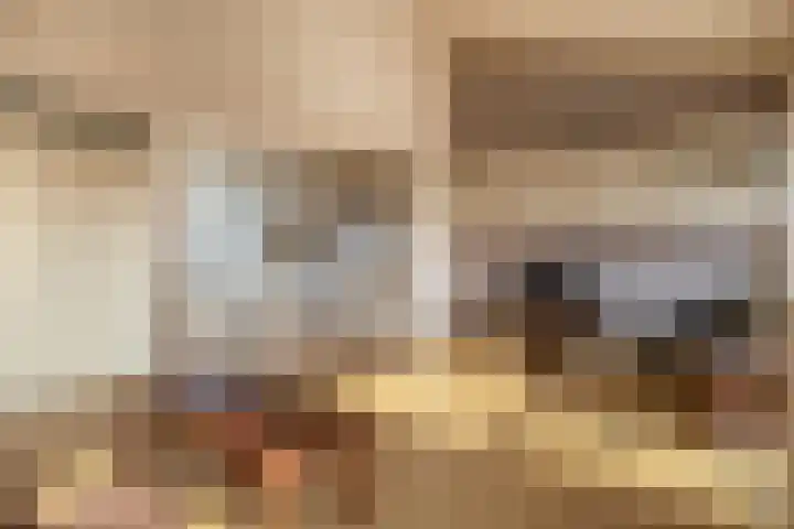 2e Octaviolaan 20 Capelle aan den IJssel thumbnail 15