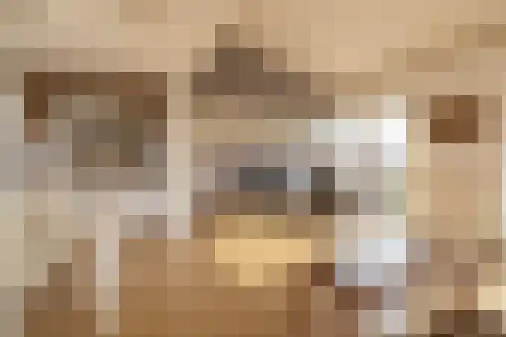 2e Octaviolaan 20 Capelle aan den IJssel thumbnail 16