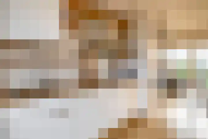 2e Octaviolaan 20 Capelle aan den IJssel thumbnail 17