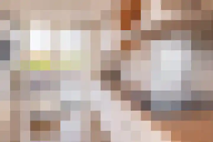 2e Octaviolaan 20 Capelle aan den IJssel thumbnail 18