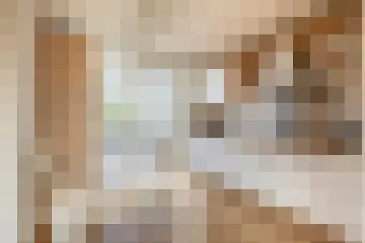 2e Octaviolaan 20 Capelle aan den IJssel thumbnail 19
