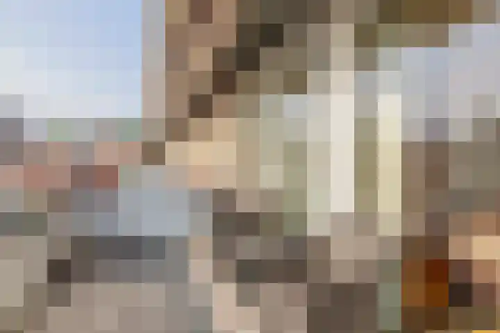 2e Octaviolaan 20 Capelle aan den IJssel thumbnail 21