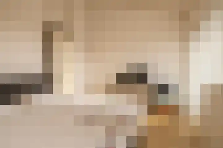 2e Octaviolaan 20 Capelle aan den IJssel thumbnail 24