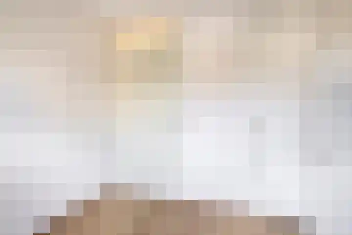 2e Octaviolaan 20 Capelle aan den IJssel thumbnail 29