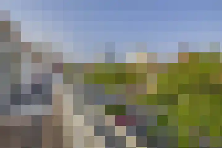 2e Octaviolaan 20 Capelle aan den IJssel thumbnail 9
