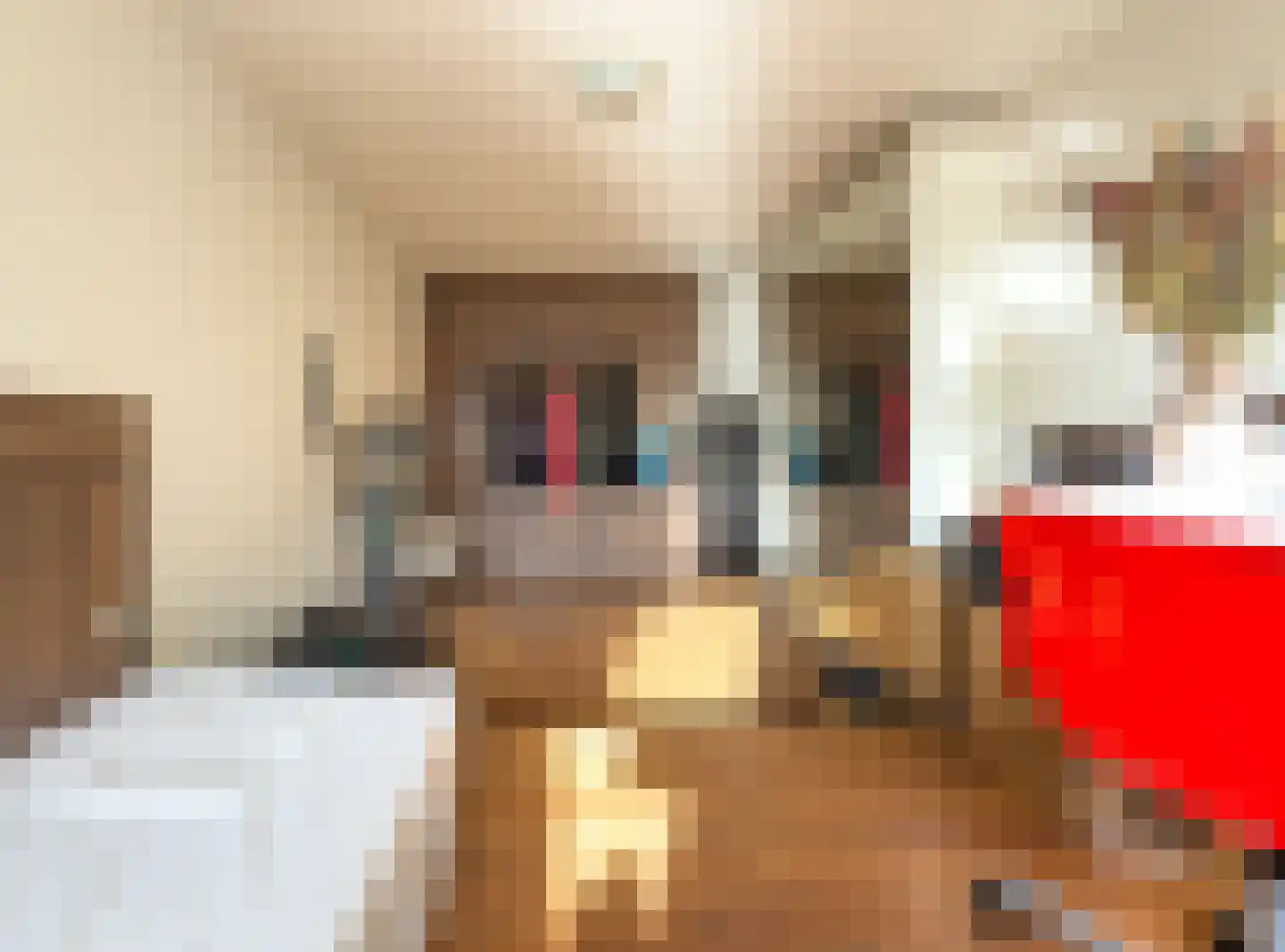 2e Octaviolaan 48 Capelle aan den IJssel thumbnail 15