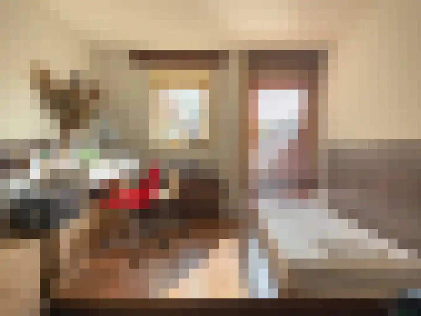 2e Octaviolaan 48 Capelle aan den IJssel thumbnail 16