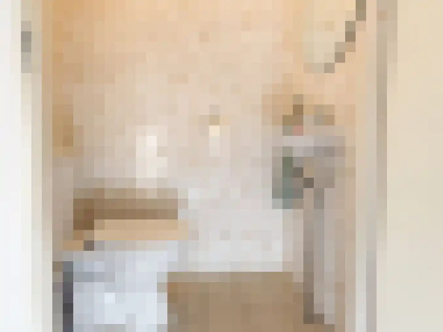 2e Octaviolaan 48 Capelle aan den IJssel thumbnail 17