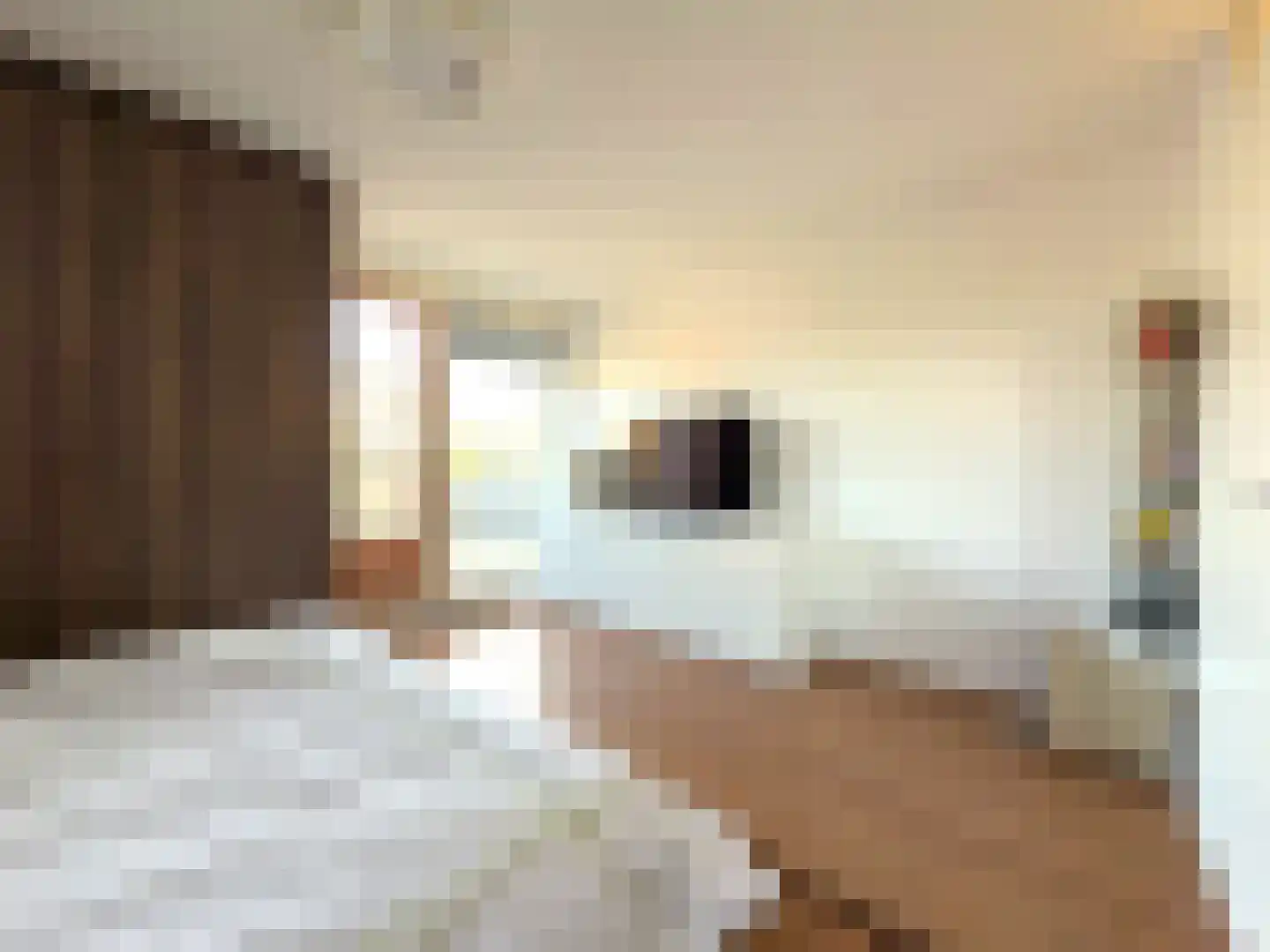 2e Octaviolaan 48 Capelle aan den IJssel thumbnail 22