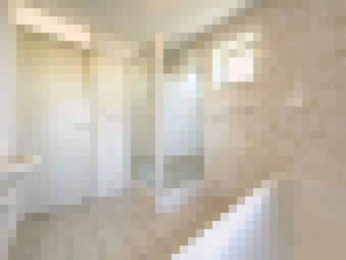 2e Octaviolaan 48 Capelle aan den IJssel thumbnail 28