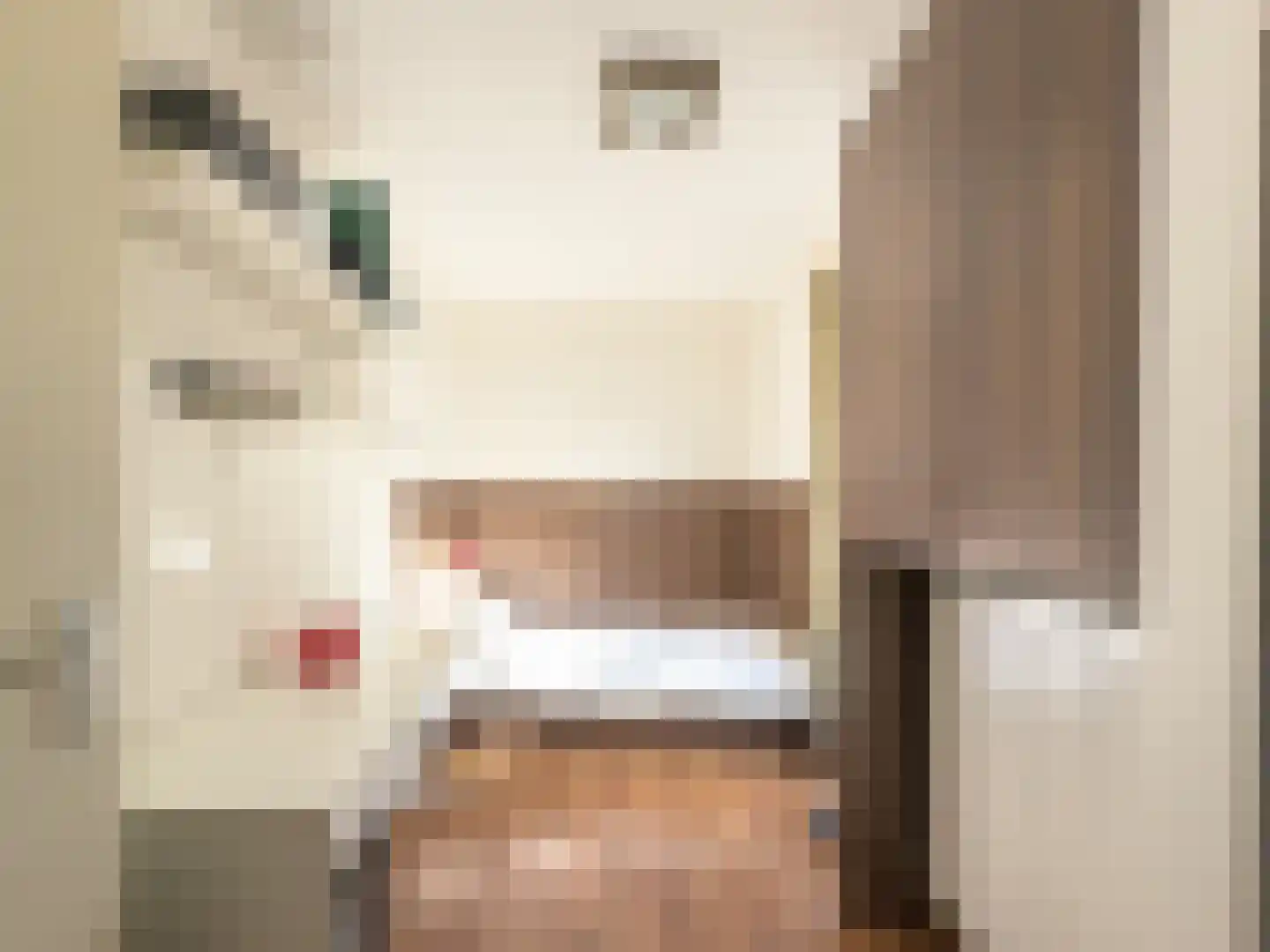 2e Octaviolaan 48 Capelle aan den IJssel thumbnail 30