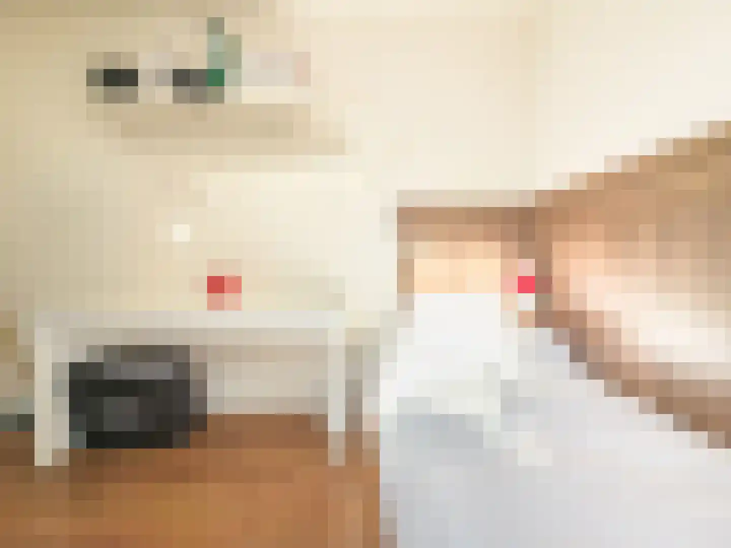 2e Octaviolaan 48 Capelle aan den IJssel thumbnail 31