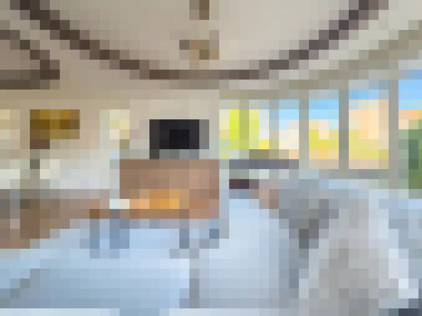 2e Octaviolaan 48 Capelle aan den IJssel thumbnail 7