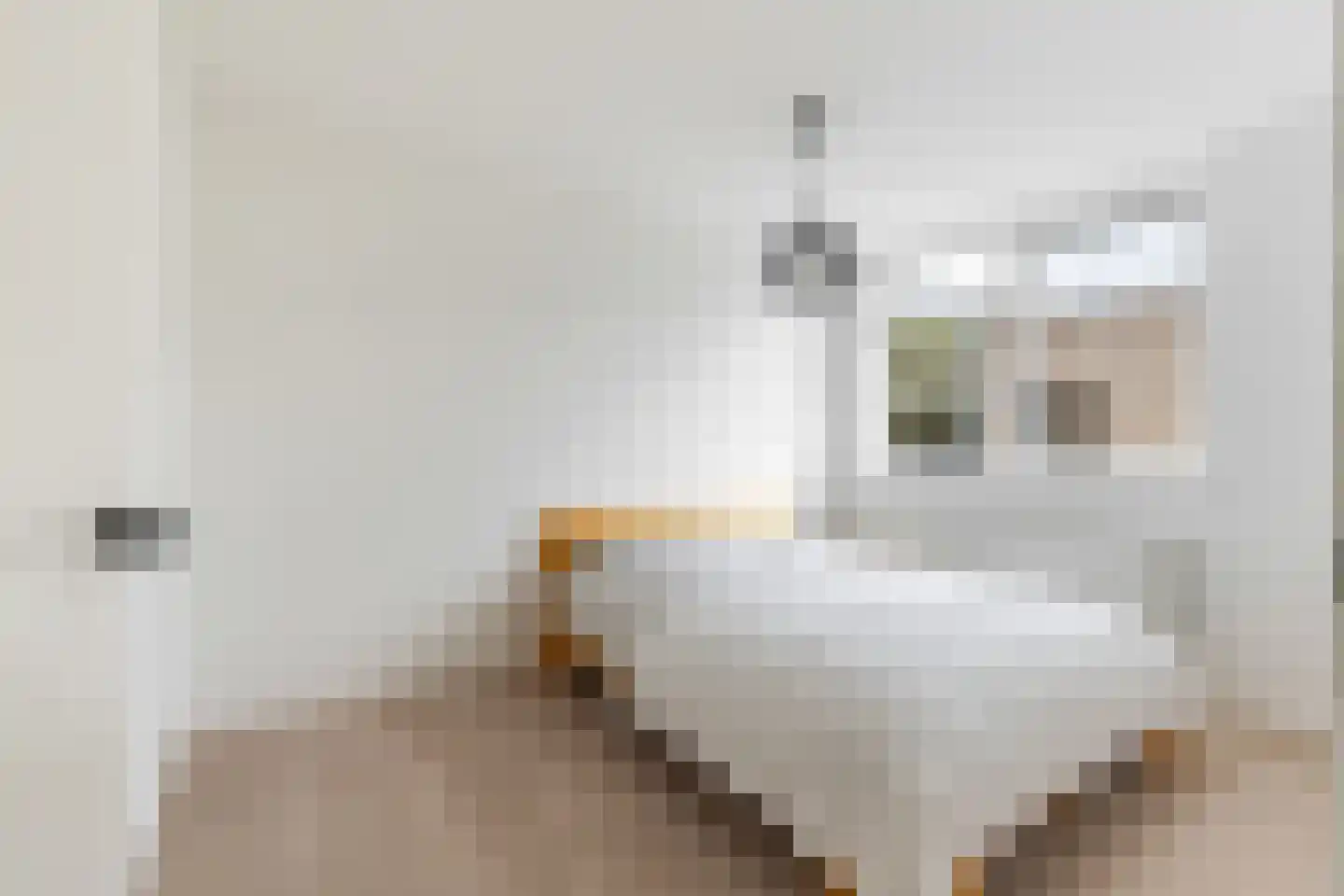 2e Oosterstraat 35 Hilversum thumbnail 14