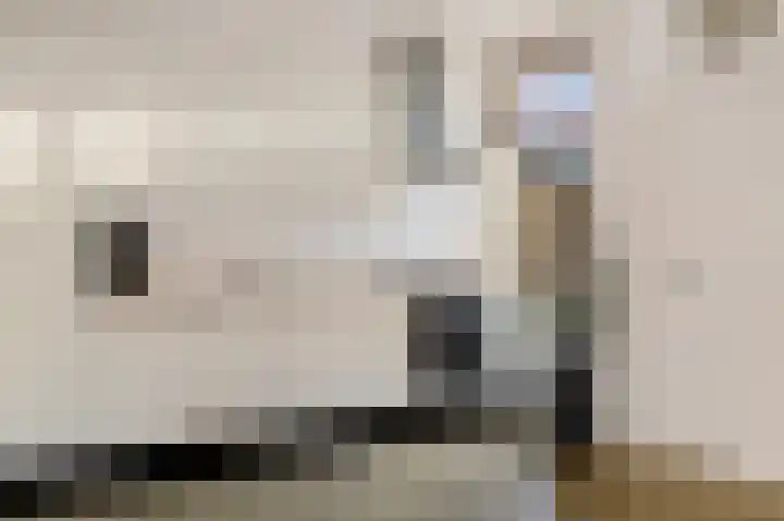 2e Oosterveldstraat 7 Grou thumbnail 12