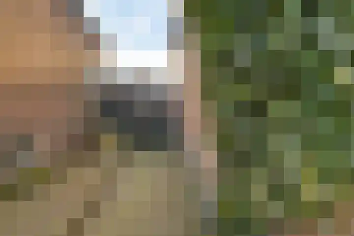 2e Oosterveldstraat 7 Grou thumbnail 29