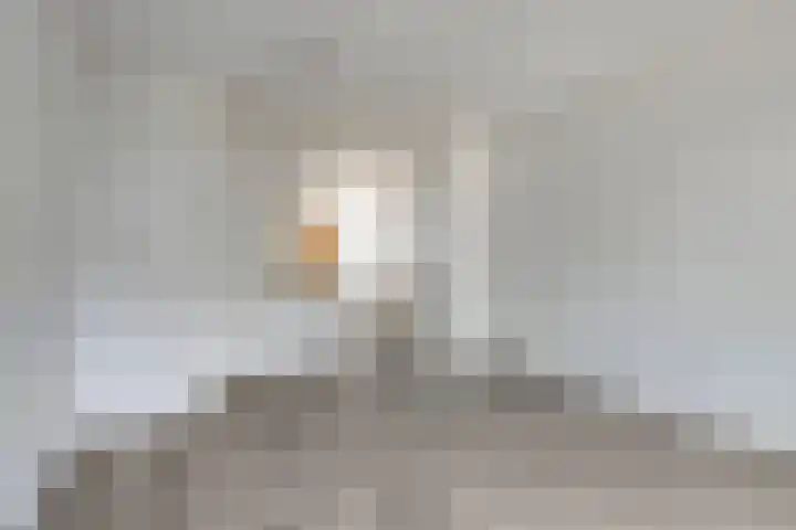 2e Pioenstraat 39 D Rotterdam thumbnail 4