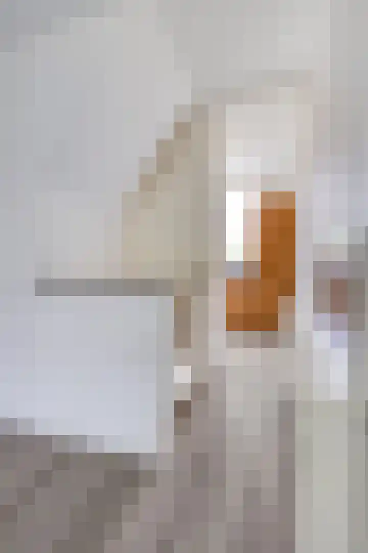 2e Pioenstraat 39 D Rotterdam thumbnail 5