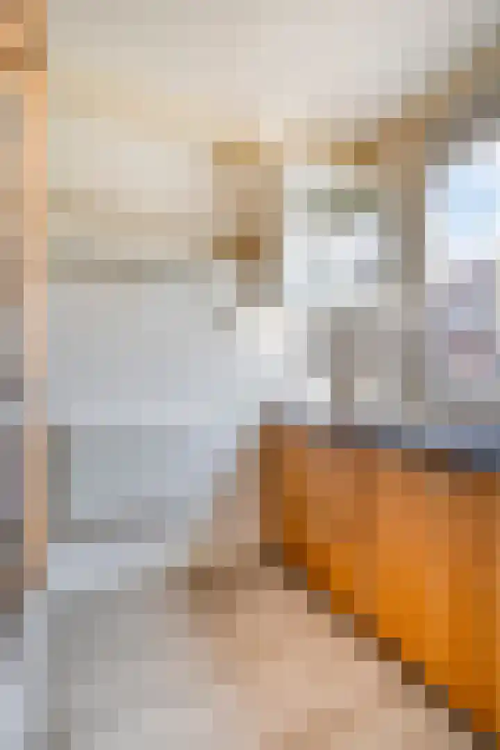 2e Pioenstraat 39 D Rotterdam thumbnail 7