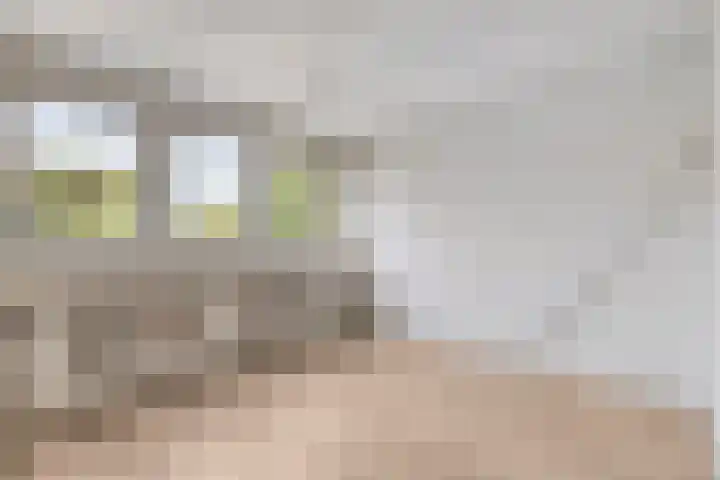 2e Pioenstraat 39 D Rotterdam thumbnail 8