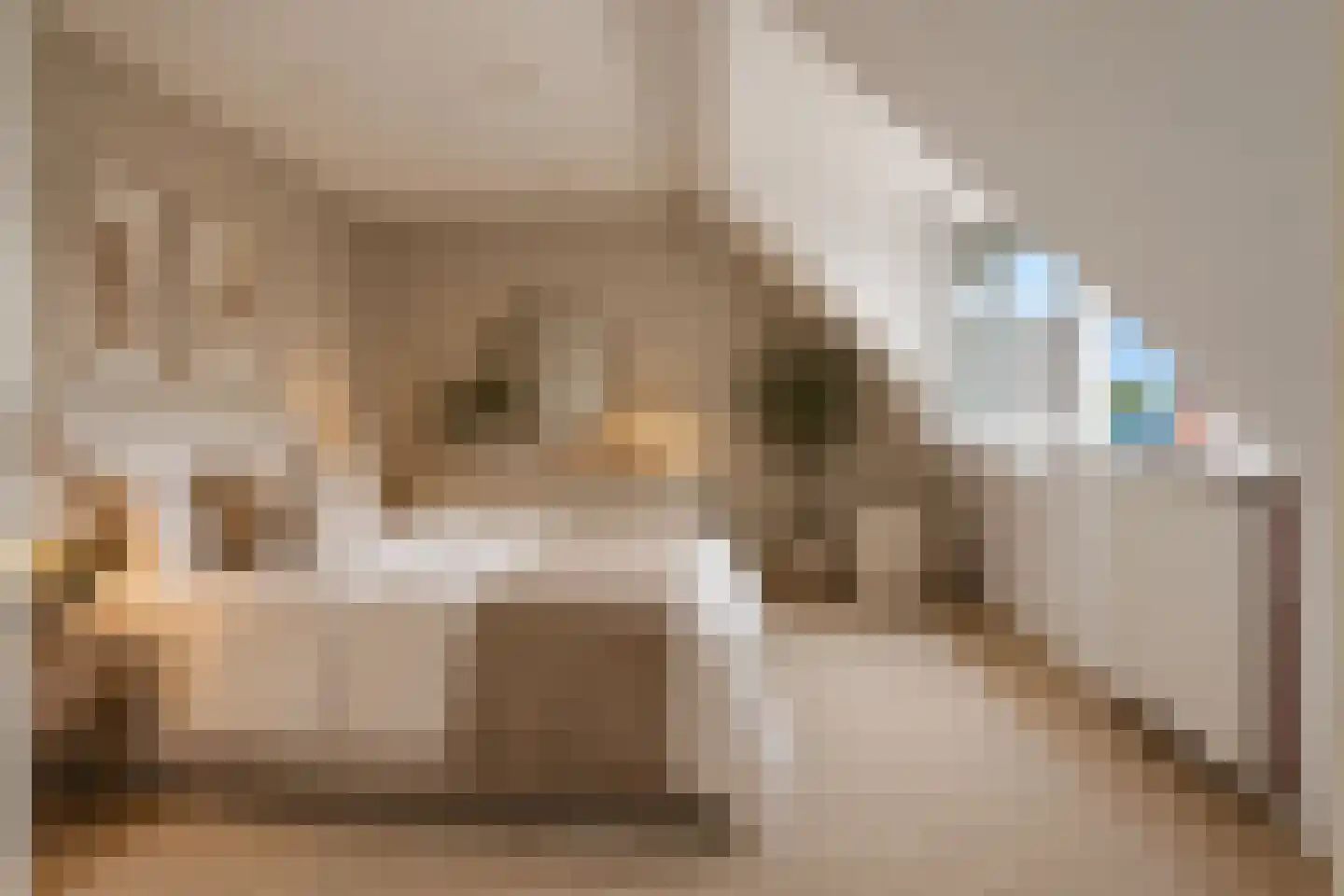 2e Pioenstraat 39 E Rotterdam thumbnail 18