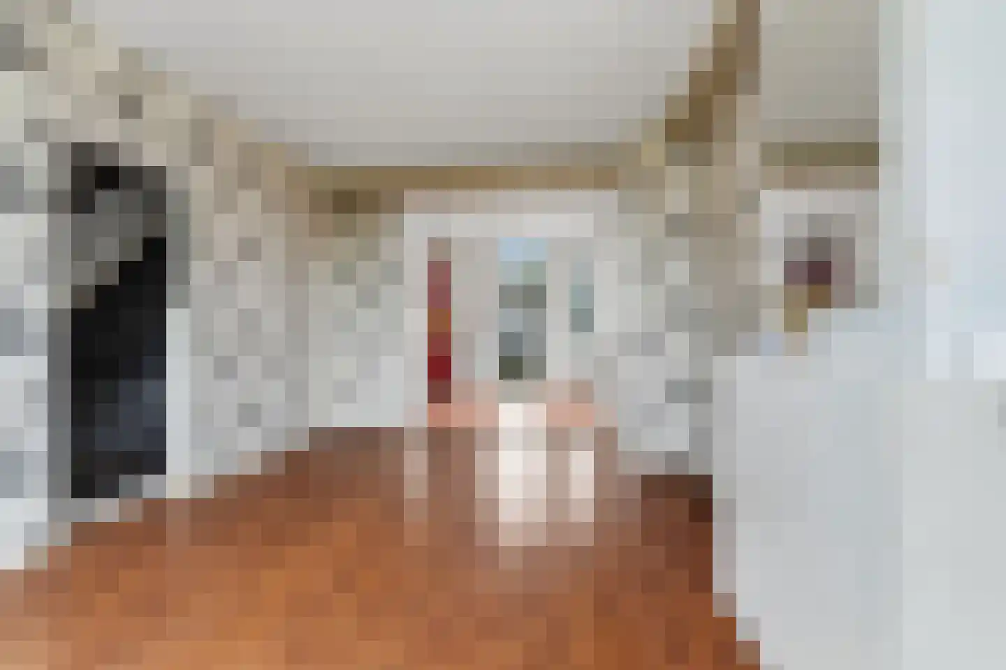 2e Pioenstraat 39 E Rotterdam thumbnail 6