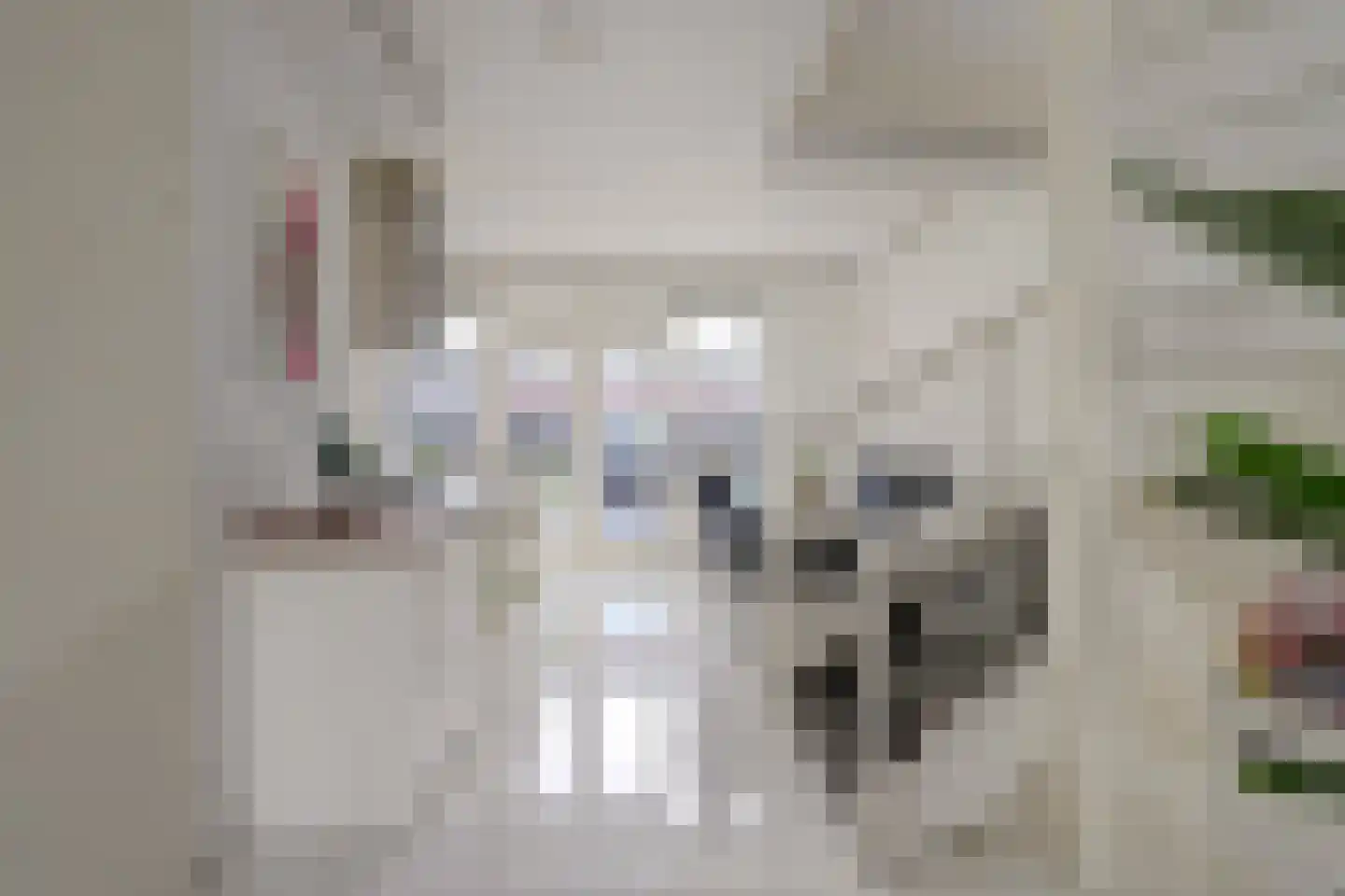2e Pioenstraat 7 Rotterdam thumbnail 11
