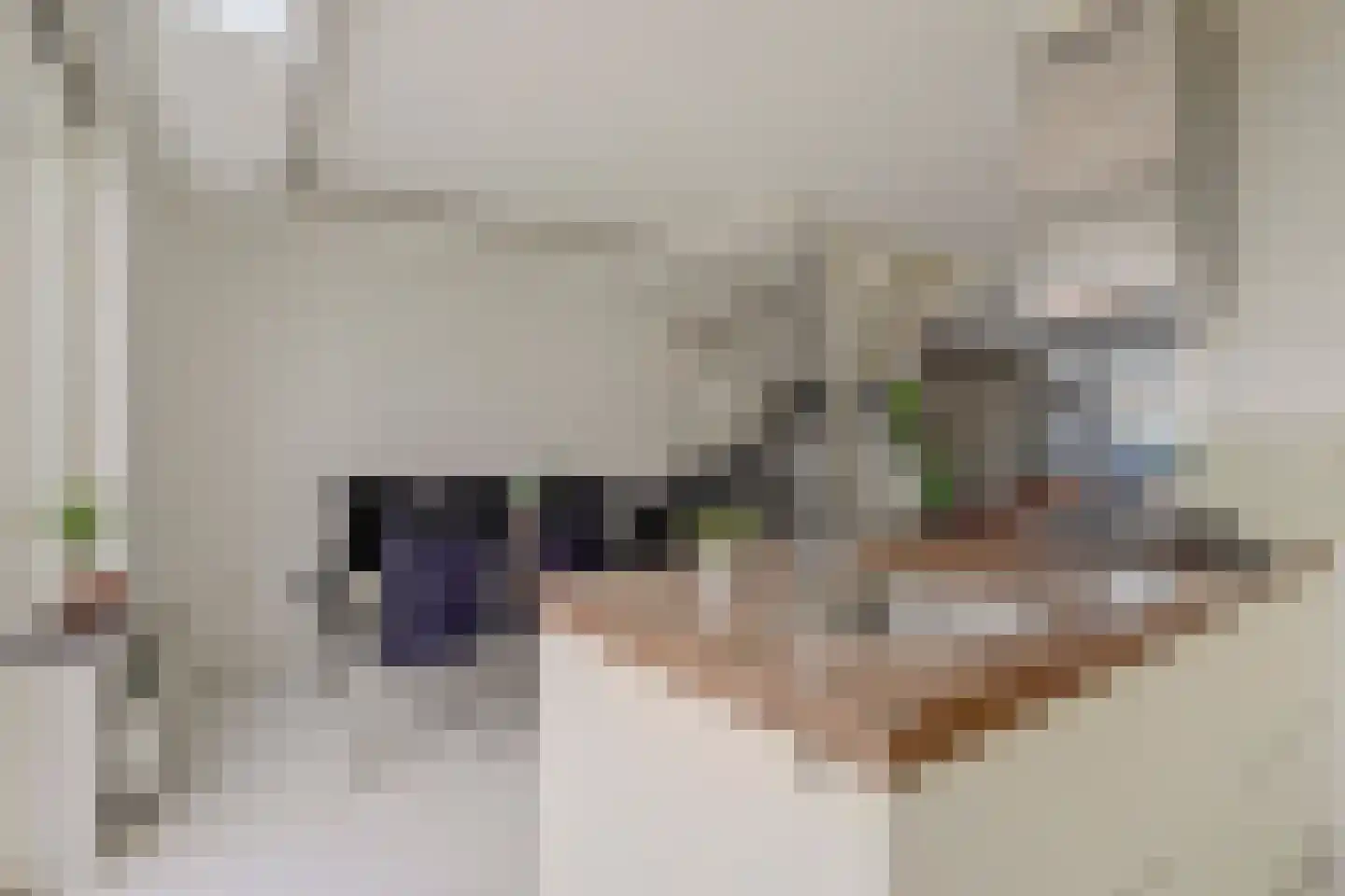 2e Pioenstraat 7 Rotterdam thumbnail 12