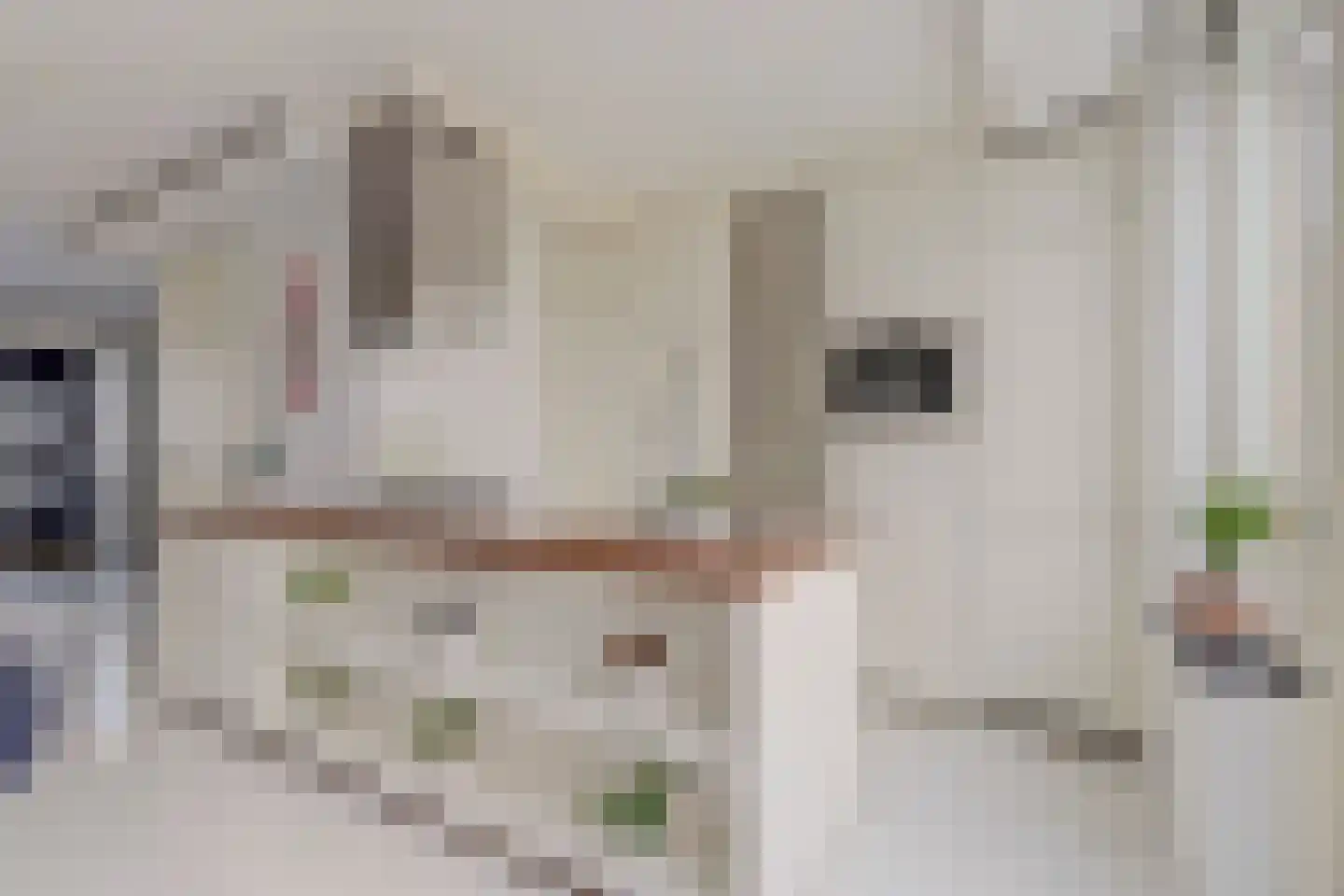 2e Pioenstraat 7 Rotterdam thumbnail 14