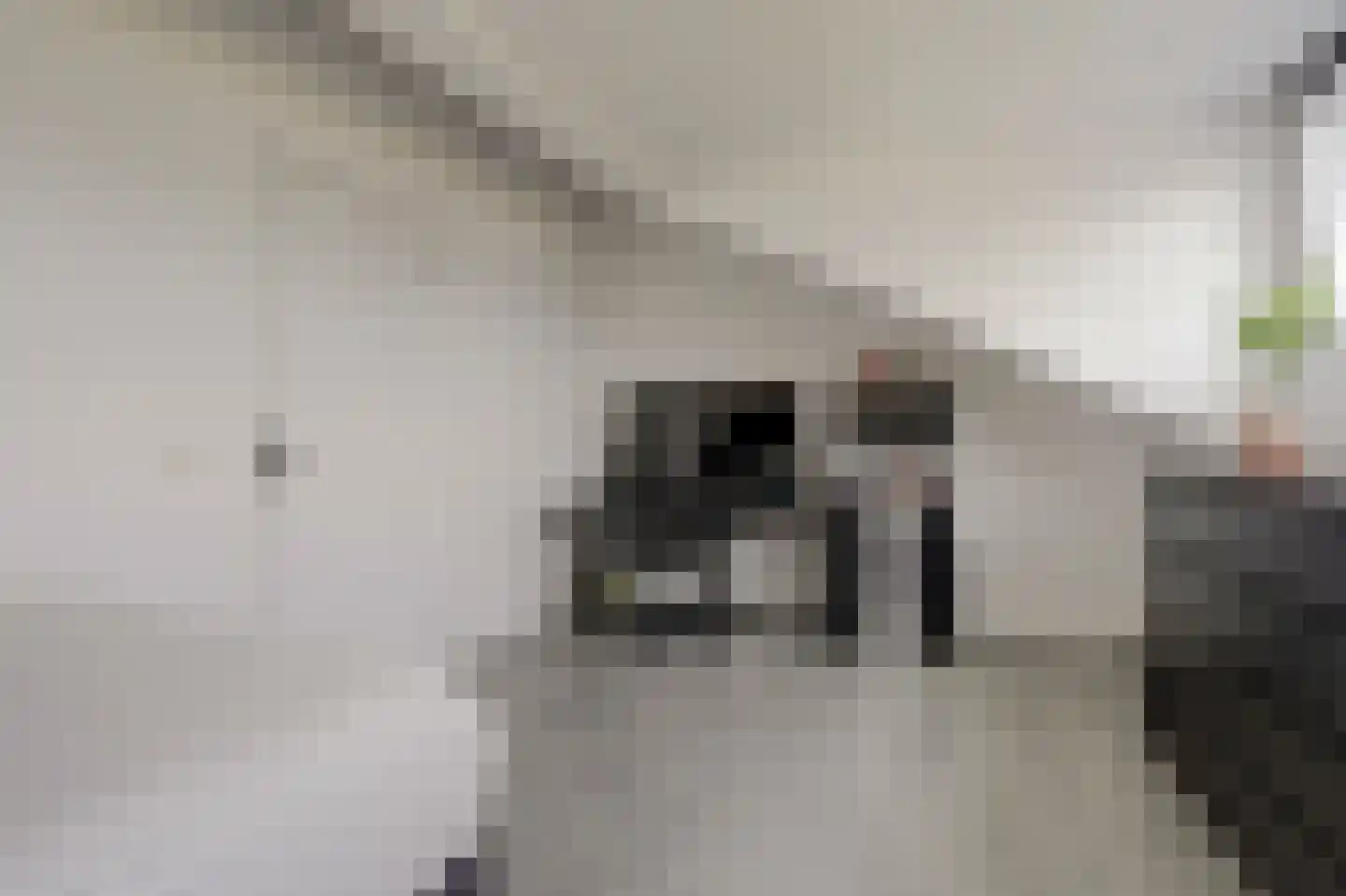 2e Pioenstraat 7 Rotterdam thumbnail 30