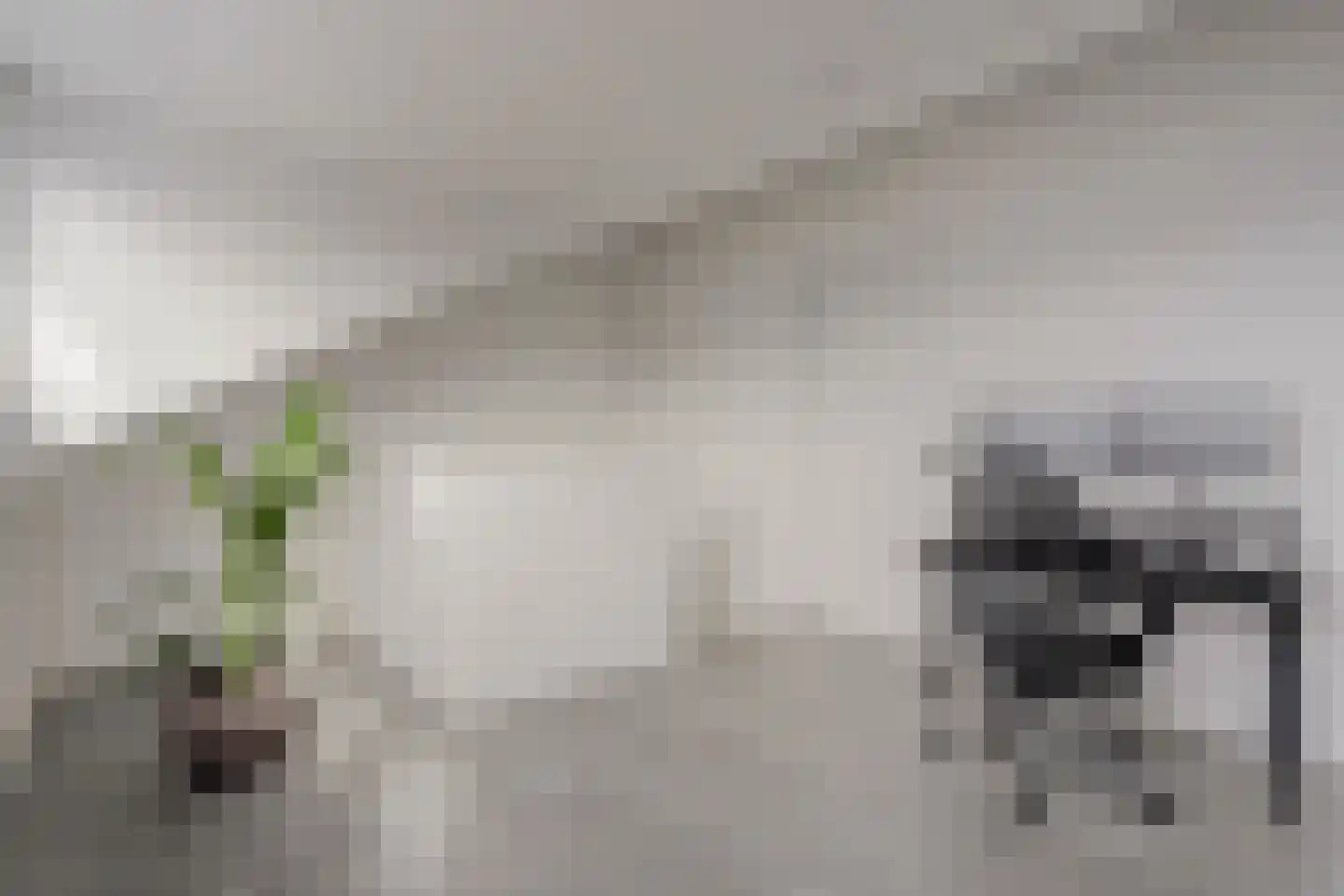 2e Pioenstraat 7 Rotterdam thumbnail 32