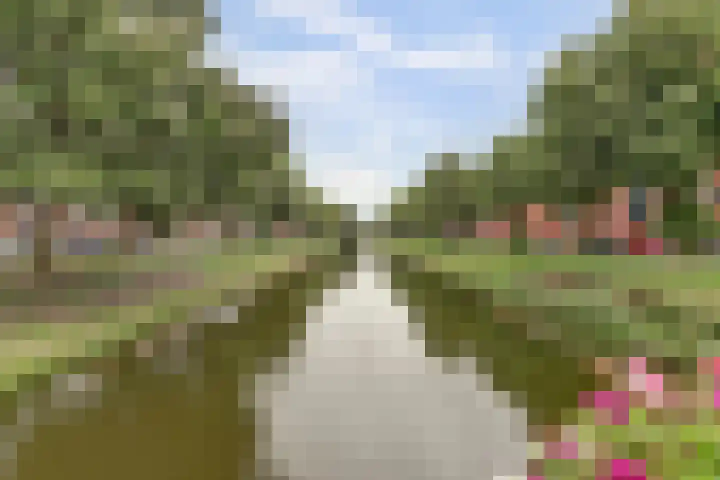 2e Pioenstraat 7 Rotterdam thumbnail 37
