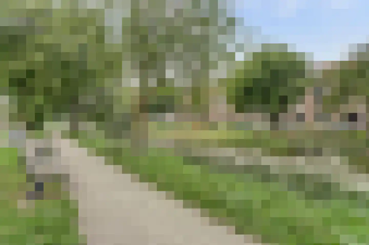 2e Pioenstraat 7 Rotterdam thumbnail 39