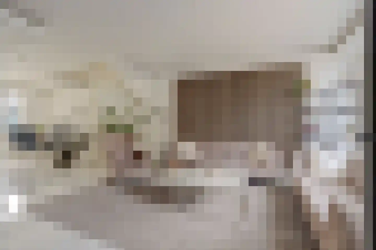 2e Pioenstraat 7 Rotterdam thumbnail 7