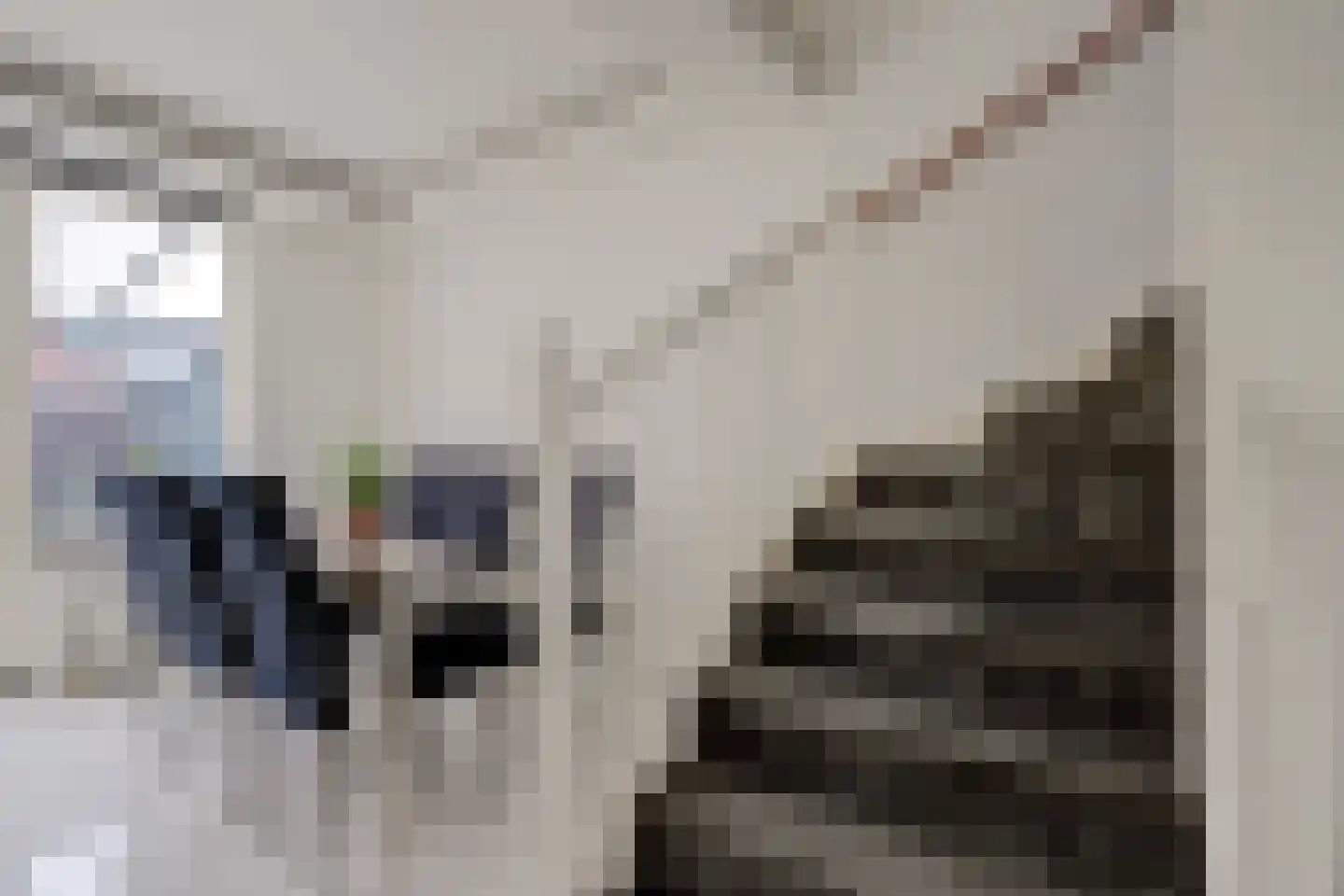 2e Pioenstraat 7 Rotterdam thumbnail 8