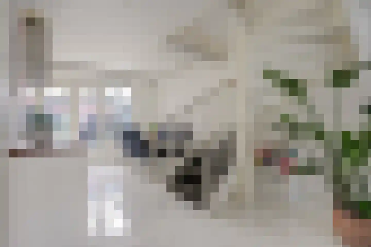 2e Pioenstraat 7 Rotterdam thumbnail 9