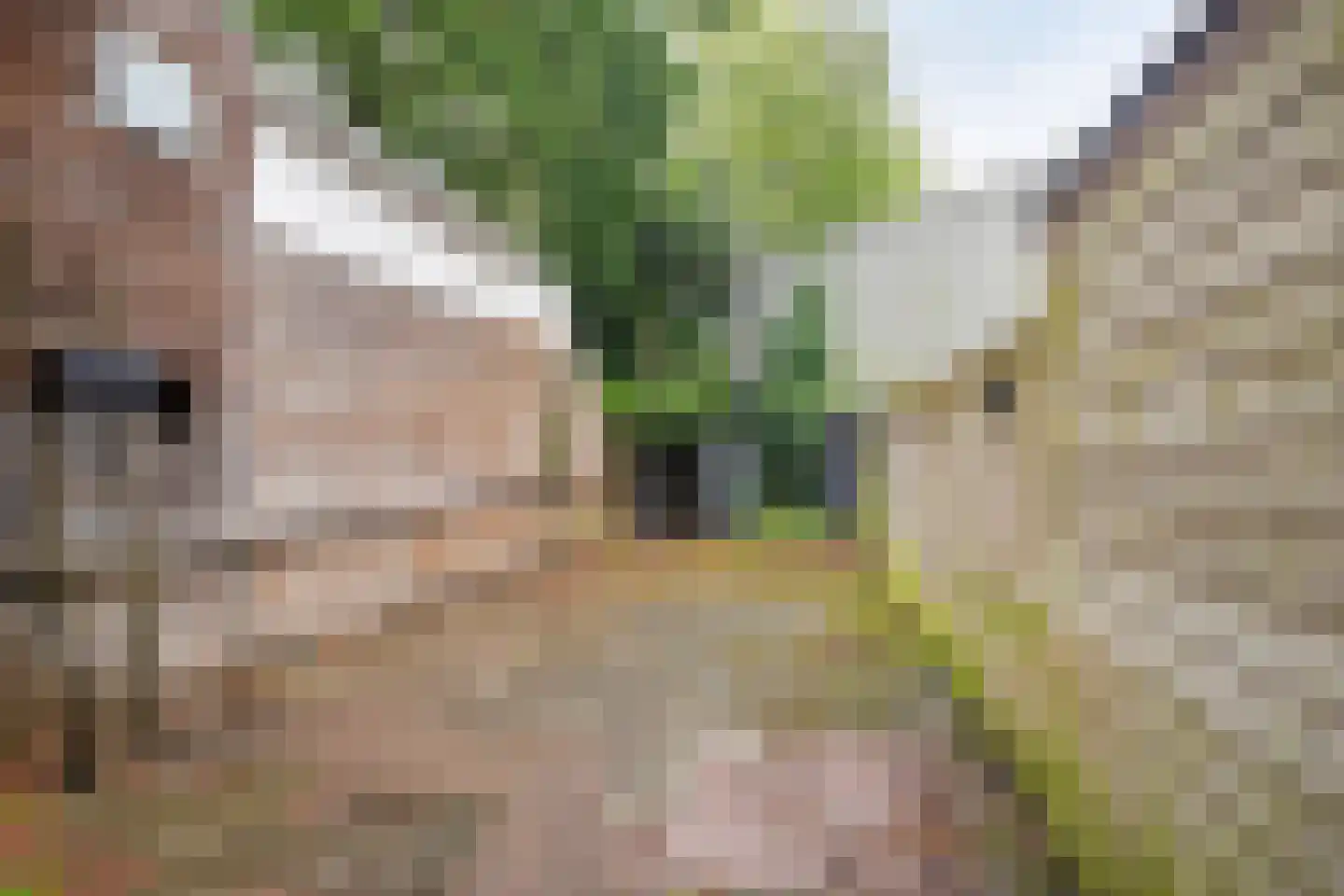 2e Rosestraat 32 A 02 Rotterdam thumbnail 18