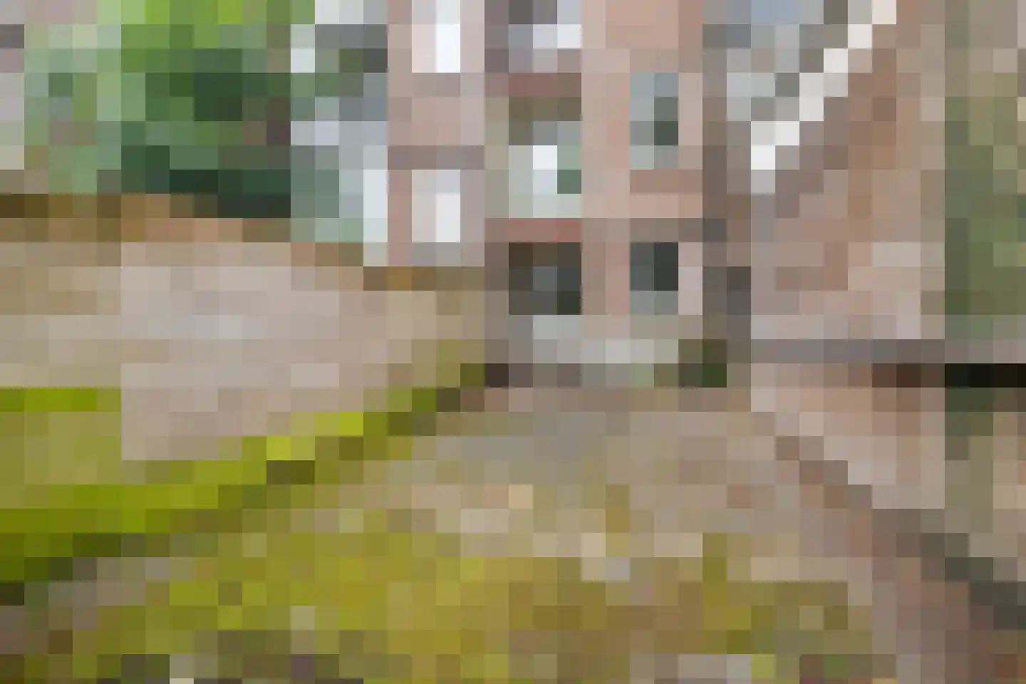2e Rosestraat 32 A 02 Rotterdam thumbnail 19