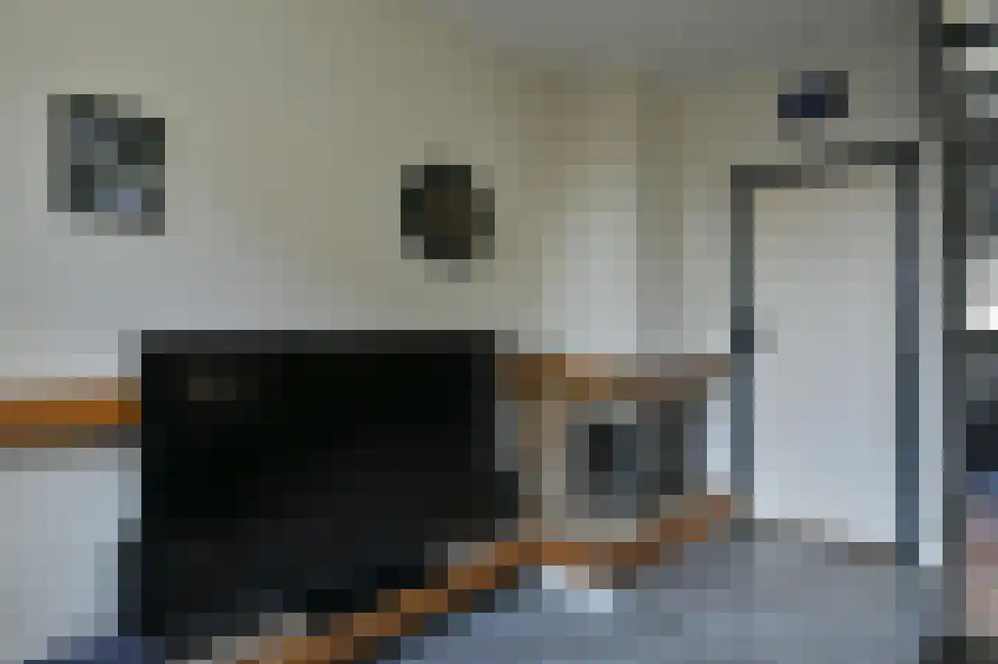 2e Rozenstraat 20 Lutjebroek thumbnail 10