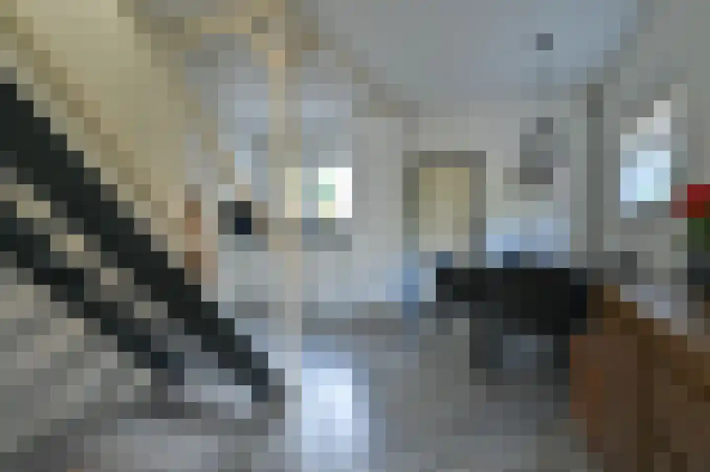 2e Rozenstraat 20 Lutjebroek thumbnail 11