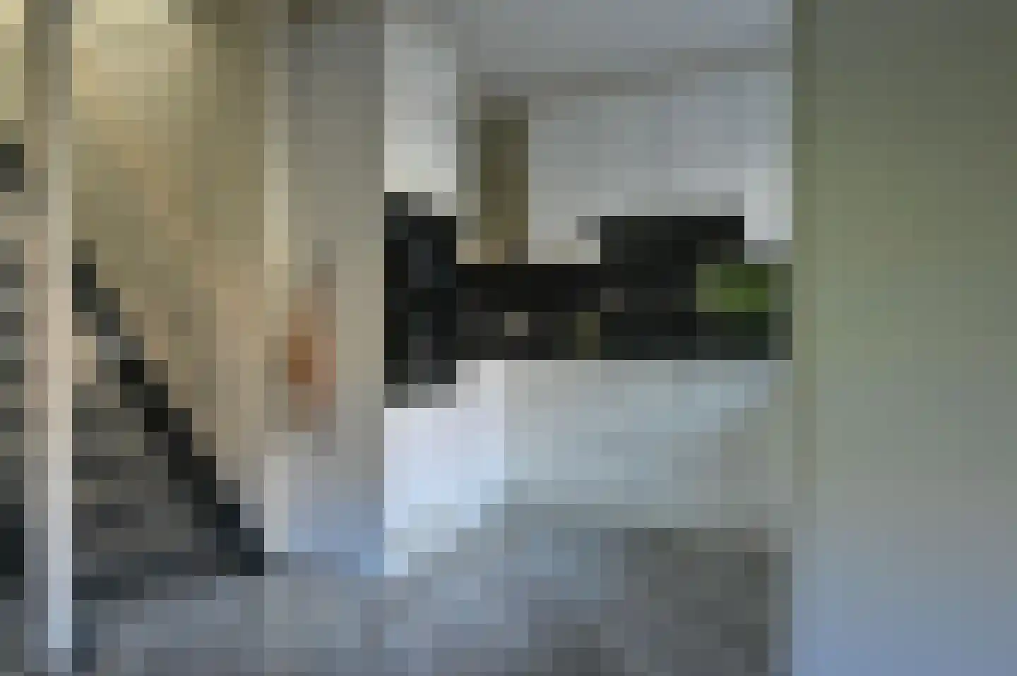 2e Rozenstraat 20 Lutjebroek thumbnail 14