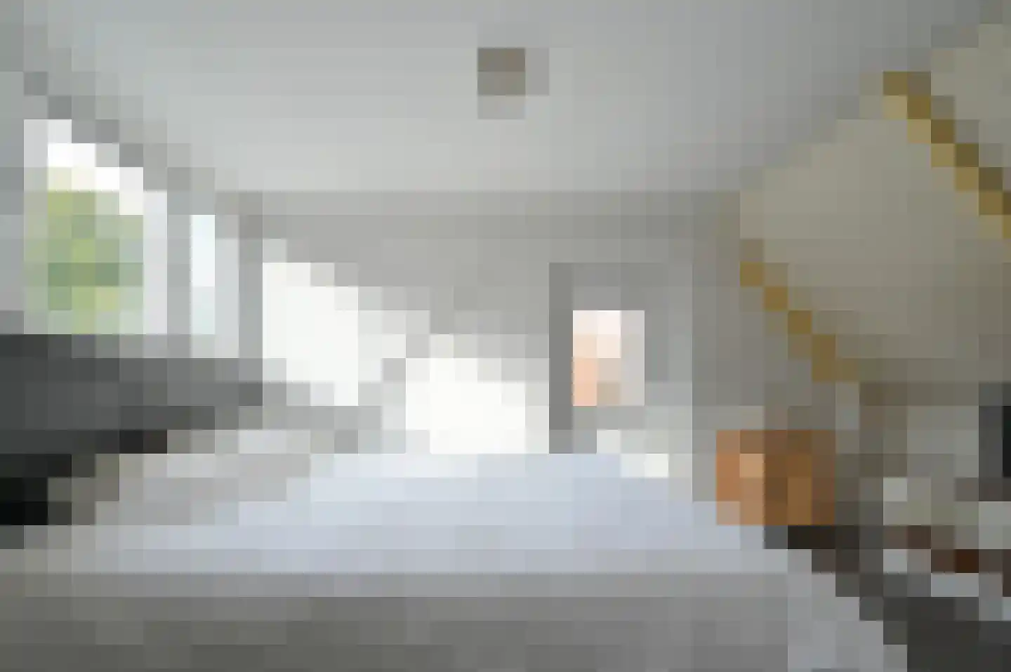 2e Rozenstraat 20 Lutjebroek thumbnail 21